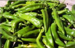 New Mexico green chile