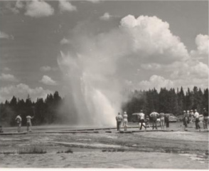 Yellowstone National Park geyser courtesy of Open Parks Network