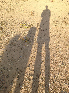 Shadows of me and my dog on a walk
