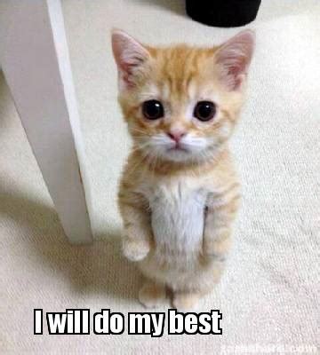 do-my-best